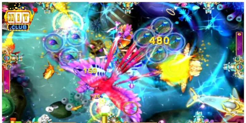 Bắn cá đổi tiền Momo là gì? Thông tin chơi game cần biết | Hình số 2 Những yếu tố người dùng thường quan tâm