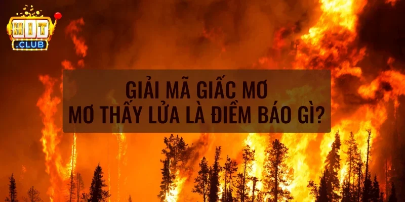 Mơ thấy lửa tổng ý nghĩa của giấc mơ và con số kèm theo | Hình số 1 Mơ thấy lửa là gì?